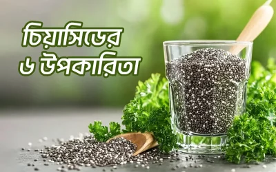 চিয়াসিডের উপকারিতা