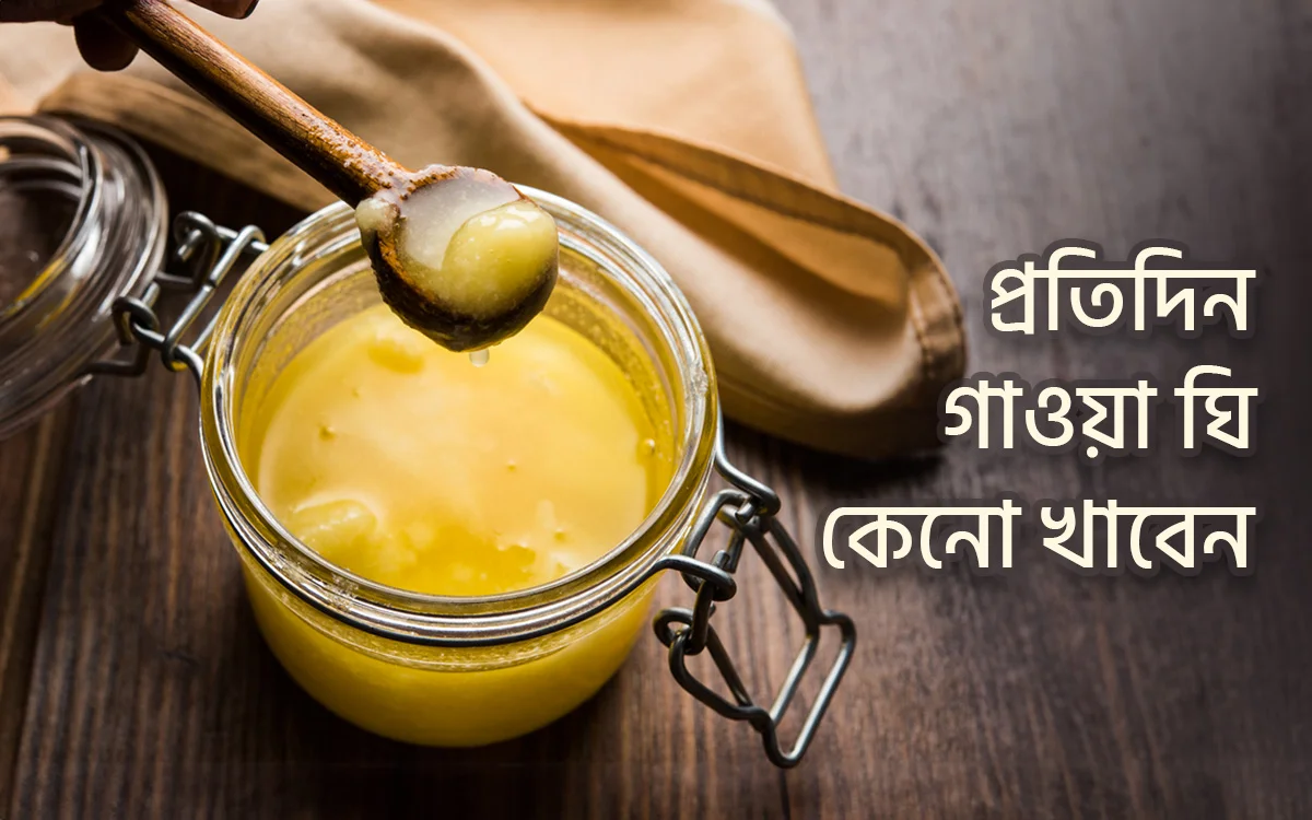 প্রতিদিন ঘি কেন খাবেন?