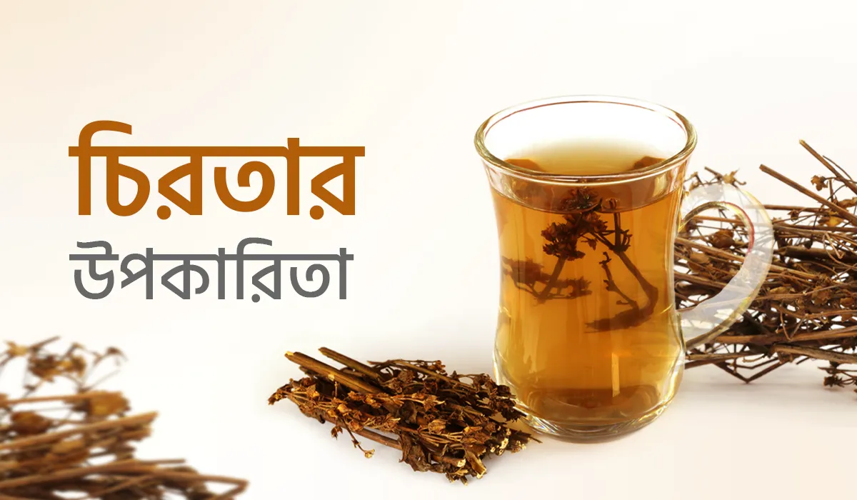 চিরতার উপকারিতা: প্রাকৃতিক স্বাস্থ্য রক্ষায় অনন্য উপাদান