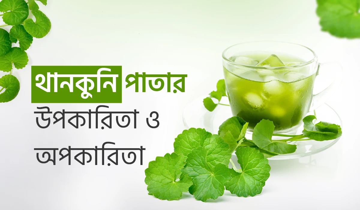 থানকুনি পাতার উপকারিতা ও অপকারিতা