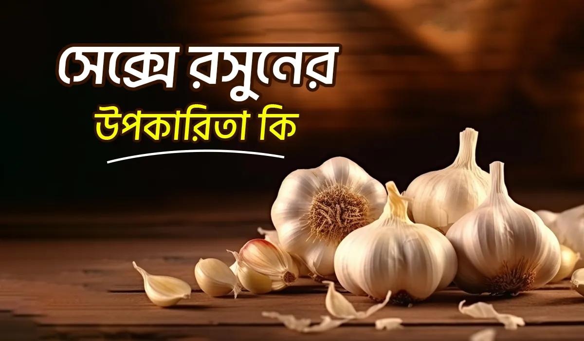 সেক্সে রসুনের উপকারিতা ও রসুন খাওয়ার সঠিক নিয়ম