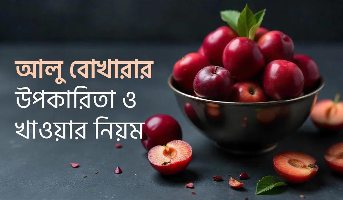 আলু বোখারা, এই ছোট্ট মিষ্টি-টক ফলটি আমাদের দৈনন্দিন জীবনকে স্বাস্থ্যকর ও সুস্বাদু করে তোলবে। পুষ্টিতে ভরপুর এই ফলটি শুধু একবার খেলে নয়, এটি দিয়ে তৈরি করা যায় অসংখ্য স্বাস্থ্যকর ও মজাদার রেসিপি। চলুন জেনে নিই আলু বোখারার উপকারিতা, খাওয়ার সঠিক নিয়ম এবং এটি দিয়ে কী কী তৈরি করা যায়। আলু বোখারার পুষ্টিগুণ আলু বোখারা আমাদের শরীরের জন্য প্রয়োজনীয় অনেক গুরুত্বপূর্ণ পুষ্টি উপাদানে সমৃদ্ধ। এতে রয়েছে: ভিটামিন সি: রোগ প্রতিরোধ ক্ষমতা বাড়াবে। ভিটামিন কে: রক্ত জমাট বাঁধার সমস্যা রোধ করবে। পটাসিয়াম: রক্তচাপ নিয়ন্ত্রণ করবে। ফাইবার: হজমশক্তি বাড়াবে। অ্যান্টিঅক্সিডেন্ট: দেহের কোষগুলোকে ক্ষতি থেকে রক্ষা করবে এবং বার্ধক্যে প্রতিরোধ করবে। আলু বোখারার উপকারিতা ১. হজম শক্তি বৃদ্ধি করে আলু বোখারা প্রাকৃতিক ফাইবার সমৃদ্ধ হওয়ায় এটি হজম শক্তি বৃদ্ধি করে। এটি কোষ্ঠকাঠিন্য দূর করবে এবং অন্ত্রের কার্যকারিতা বাড়াবে। ২. রোগ প্রতিরোধ ক্ষমতা বাড়ায় ভিটামিন সি এবং অ্যান্টিঅক্সিডেন্ট সমৃদ্ধ আলু বোখারা শরীরের রোগ প্রতিরোধ ক্ষমতা বৃদ্ধি করবে। এটি ফ্লু ও সাধারণ সর্দি-কাশি প্রতিরোধ করবে। ৩. হাড়ের স্বাস্থ্য রক্ষা আলু বোখারায় থাকা ভিটামিন কে এবং ক্যালসিয়াম হাড়কে শক্তিশালী করবে। এটি অস্টিওপোরোসিসের প্রতিরোধ করবে। ৪. রক্তচাপ নিয়ন্ত্রণে রাখবে পটাসিয়ামের পরিমাণ বেশি থাকায় এটি উচ্চ রক্তচাপের সমস্যা নিয়ন্ত্রণে সাহায্য করবে। ৫. হার্টের স্বাস্থ্য ভালো রাখা আলু বোখারা কোলেস্টেরল কমাবে, যা হার্ট অ্যাটাক ও স্ট্রোকের ঝুঁকি কমাবে। ৬. ত্বকের যত্নে উপকারী এতে থাকা অ্যান্টিঅক্সিডেন্ট এবং ভিটামিন সি ত্বকের উজ্জ্বলতা বাড়াবে এবং বার্ধক্যের লক্ষণ কমাবে। ৭. ওজন নিয়ন্ত্রণ ফাইবারের পরিমাণ বেশি হওয়ায় এটি ক্ষুধা কমাবে এবং ওজন নিয়ন্ত্রণ করবে। আলু বোখারা খাওয়ার নিয়ম আলু বোখারা খাওয়ার সঠিক নিয়ম মেনে চললে এর পরিপূর্ণ উপকারিতা উপভোগ করা যাবে। এখানে কিছু পরামর্শ দেওয়া হলো: ১. সকালে খালি পেটে খান এক গ্লাস হালকা গরম পানিতে ৩-৪টি ভিজিয়ে খেয়ে নিন। এটি হজমশক্তি বাড়াবে এবং শরীর ডিটক্সিফাই করবে। ২. স্ন্যাকস হিসেবে খান দিনের মধ্যে হালকা ক্ষুধা লাগলে শুকনো আলু বোখারা খান। এটি দীর্ঘক্ষণ এনার্জি ধরে রাখবে। ৩. মিষ্টি পানীয় তৈরি করে খান আলু বোখারার শরবত বা স্মুদি বানিয়ে পান করুন এটি শরীরকে ঠান্ডা রাখবে এবং পুষ্টি জোগাবে। ৪. রান্নায় ব্যবহার করুন পোলাও বা বিরিয়ানিতে আলু বোখারা একটি সুস্বাদু উপাদান হিসেবে ব্যবহার করুন। ৫. খাওয়ার পরিমাণে নিয়ন্ত্রণ অতিরিক্ত না খেয়ে প্রতিদিন ৫-৬টি আলু বোখারা খাওয়া যথেষ্ট। অতিরিক্ত খেলে গ্যাস্ট্রিকের সমস্যা হবে। আলু বোখারা দিয়ে তৈরি রেসিপি আলু বোখারা শুধু কাঁচা বা শুকনো খাওয়াই নয়, বরং এটি দিয়ে নানা রকম সুস্বাদু পদ তৈরি করা যাবে। এখানে কিছু জনপ্রিয় রেসিপি দেওয়া হলো: ১. আলু বোখারার শরবত একটি জনপ্রিয় ও স্বাস্থ্যকর পানীয়। এটি তৈরি করতে যা যা লাগবে: ৪-৫টি শুকনো আলু বোখারা ১ চা চামচ চিনি বা মধু ১ গ্লাস ঠান্ডা পানি সামান্য লেবুর রস পদ্ধতি: শুকনো আলু বোখারা কিছুক্ষণ ভিজিয়ে রেখে এরপর ব্লেন্ড করে ঠান্ডা পানিতে মিশিয়ে নিন। চিনি বা মধু ও লেবুর রস দিয়ে পরিবেশন করুন। ২. আলু বোখারার চাটনি মিষ্টি ও টক স্বাদের জন্য এটি দারুণ উপকার করবে। উপকরণ: ১০টি শুকনো আলু বোখারা চিনি লবণ ভিনেগার সামান্য গোলমরিচ পদ্ধতি: সব উপকরণ একসঙ্গে সেদ্ধ করে ঘন হয়ে এলে ঠান্ডা করুন। চাটনি রুটি, পরোটা বা ভাতের সঙ্গে পরিবেশন করুন। ৩. আলু বোখারার কেক বা ডেজার্ট শুকনো আলু বোখারা ছোট টুকরো করে কেকের ব্যাটারে মিশিয়ে বেক করুন। এটি দারুণ একটি স্বাস্থ্যকর ডেজার্ট হবে। ৪. পোলাও বা বিরিয়ানিতে ব্যবহার আলু বোখারা পোলাও বা বিরিয়ানিতে মিষ্টি স্বাদ বৃদ্ধি করবে। এটি শুধু স্বাদই বাড়ায় না, বরং খাবারকে পুষ্টিকরও করে তোলবে। আলু বোখারা কেন আপনার খাদ্যতালিকায় থাকবে? আলু বোখারা একটি প্রাকৃতিক সুপারফুড, যা বিভিন্ন রোগ প্রতিরোধ করবে এবং শরীরকে সুস্থ্য রাখবে। এটি সাশ্রয়ী, সহজলভ্য এবং অসাধারণ পুষ্টিগুণে সমৃদ্ধ। আপনি যদি স্বাস্থ্য সচেতন হন এবং একটি সুস্বাদু ও পুষ্টিকর খাদ্য সন্ধান করেন, তবে আলু বোখারা আপনার জন্য সেরা পছন্দ হবে। উপসংহার আলু বোখারা একটি ছোট ফল হলেও এর স্বাস্থ্য উপকারিতা এবং বহুমুখী ব্যবহার অনেক বেশি। এটি আপনার দেহকে ভেতর থেকে পুষ্টি জোগাবে এবং সুস্থ্য রাখবে। এর সহজ রেসিপিগুলো আপনার খাদ্যতালিকায় নতুন স্বাদ যোগ করবে। তাই, আজই আপনার দৈনন্দিন খাবারে আলু বোখারার ব্যবহার করুন এবং এর অসাধারণ গুণাগুণ উপভোগ করুন।